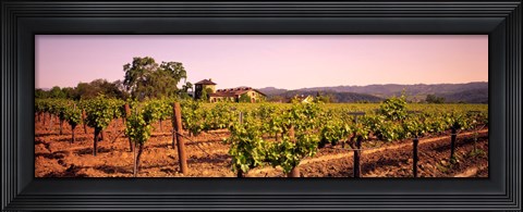 Framed Sattui Winery, Napa Valley, California, USA Print