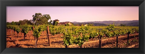 Framed Sattui Winery, Napa Valley, California, USA Print