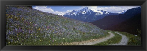 Framed Road Through Hillside, Zillertaler, Austria Print