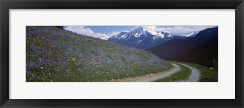 Framed Road Through Hillside, Zillertaler, Austria Print