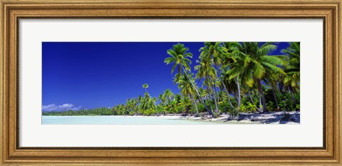 Framed Beach With Palm Trees, Bora Bora, Tahiti Print
