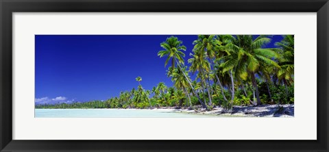 Framed Beach With Palm Trees, Bora Bora, Tahiti Print