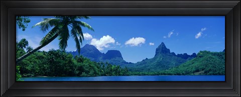 Framed Lush Foliage And Rock Formations, Moorea Island, Tahiti Print