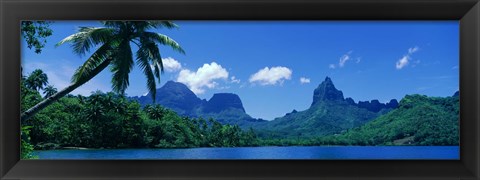 Framed Lush Foliage And Rock Formations, Moorea Island, Tahiti Print