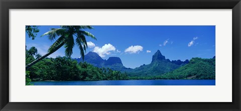 Framed Lush Foliage And Rock Formations, Moorea Island, Tahiti Print