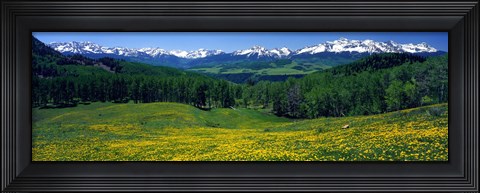 Framed San Miguel Mountains In Spring, Colorado, USA Print
