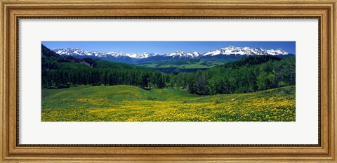 Framed San Miguel Mountains In Spring, Colorado, USA Print
