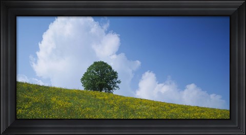 Framed Green Hill w/ flowers &amp; tree Canton Zug Switzerland Print