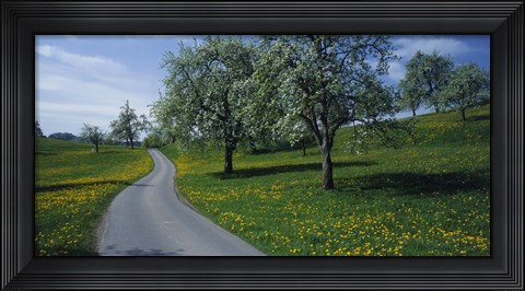 Framed Spring in Zug, Switzerland Print