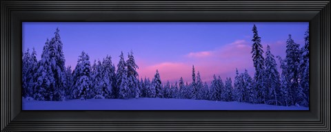 Framed Forest In Winter, Dalarna, Sweden Print