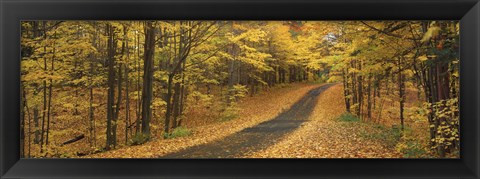 Framed Autumn Road, Emery Park, New York State, USA Print