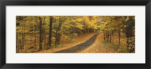 Framed Autumn Road, Emery Park, New York State, USA Print