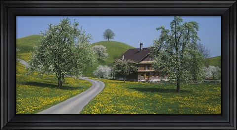 Framed road through Zug, Switzerland Print