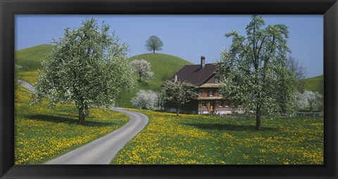 Framed road through Zug, Switzerland Print