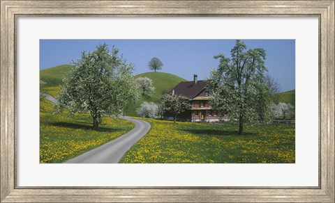 Framed road through Zug, Switzerland Print