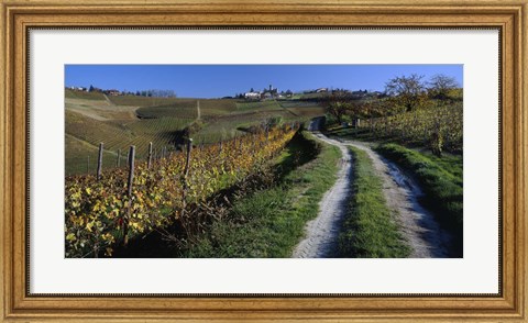 Framed Italy, Piemont, road Print