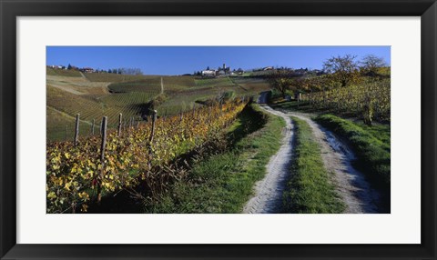 Framed Italy, Piemont, road Print