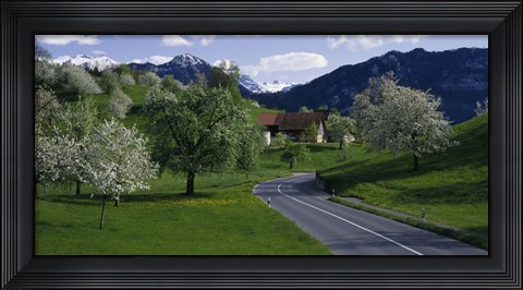 Framed Switzerland, Luzern, trees, road Print