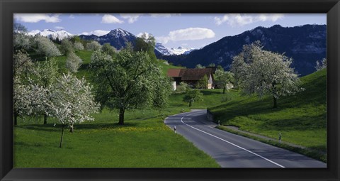 Framed Switzerland, Luzern, trees, road Print