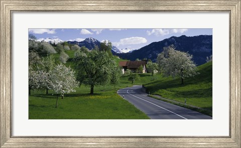 Framed Switzerland, Luzern, trees, road Print
