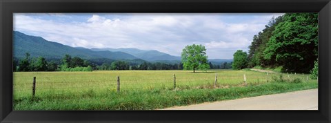 Framed Road Along A Grass Field, Cades Cove, Great Smoky Mountains National Park, Tennessee, USA Print