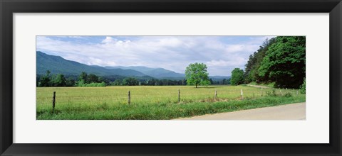 Framed Road Along A Grass Field, Cades Cove, Great Smoky Mountains National Park, Tennessee, USA Print