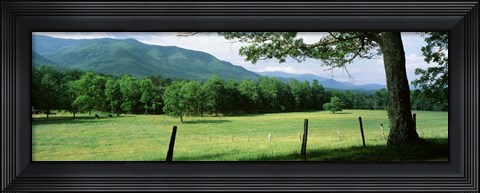Framed Meadow Surrounded By Barbed Wire Fence, Cades Cove, Great Smoky Mountains National Park, Tennessee, USA Print