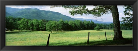 Framed Meadow Surrounded By Barbed Wire Fence, Cades Cove, Great Smoky Mountains National Park, Tennessee, USA Print