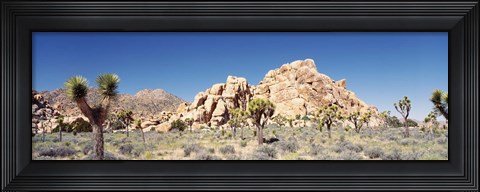 Framed Rock Formation In A Arid Landscape, Joshua Tree National Monument, California, USA Print