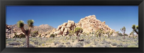 Framed Rock Formation In A Arid Landscape, Joshua Tree National Monument, California, USA Print