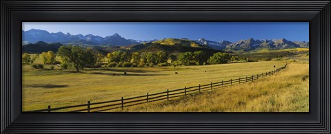Framed Trees in a field, Colorado, USA Print