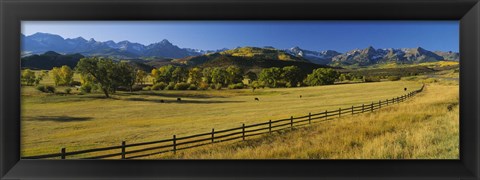 Framed Trees in a field, Colorado, USA Print