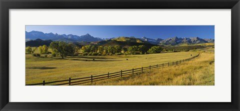 Framed Trees in a field, Colorado, USA Print