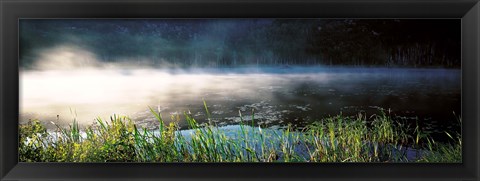 Framed Morning fog Acadia National Park ME USA Print