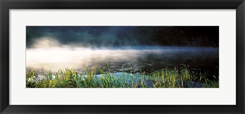 Framed Morning fog Acadia National Park ME USA Print