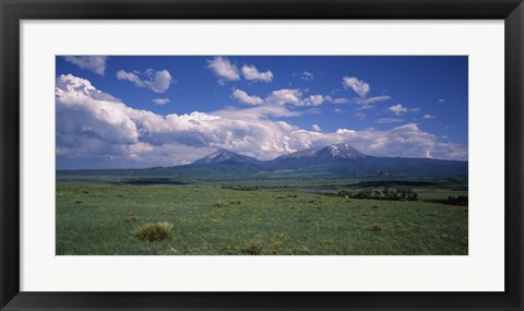 Framed Meadow with mountains in the background, Cuchara River Valley, Huerfano County, Colorado, USA Print