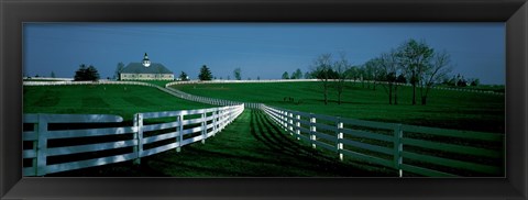 Framed USA, Kentucky, Lexington, horse farm Print