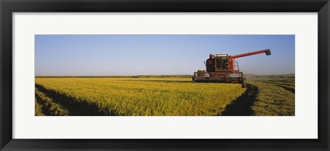 Framed Combine in a rice field, Glenn County, California, USA Print