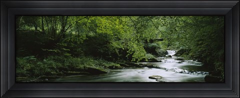 Framed River flowing in the forest, Aberfeldy, Perthshire, Scotland Print
