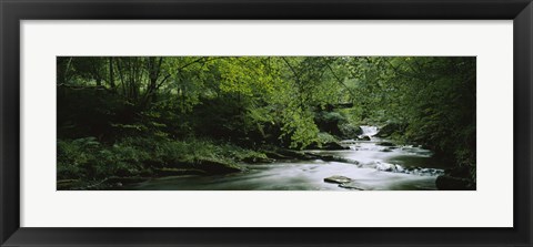 Framed River flowing in the forest, Aberfeldy, Perthshire, Scotland Print