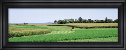 Framed Harvesting, Farm, Frederick County, Maryland, USA Print