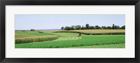 Framed Harvesting, Farm, Frederick County, Maryland, USA Print