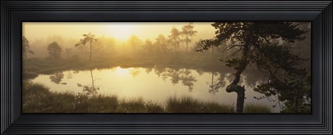Framed Reflection of trees in a lake, Vastmanland, Sweden Print