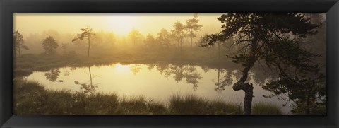 Framed Reflection of trees in a lake, Vastmanland, Sweden Print