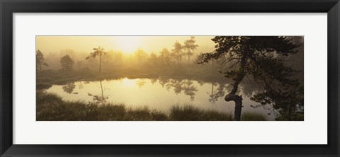 Framed Reflection of trees in a lake, Vastmanland, Sweden Print