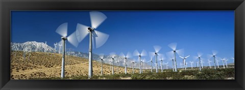 Framed Wind turbines spinning in a field, Palm Springs, California, USA Print