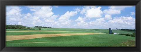 Framed Barn In A Field, Wisconsin, USA Print