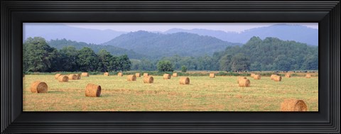 Framed Hay bales in a field, Murphy, North Carolina, USA Print