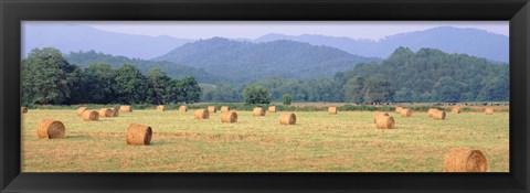 Framed Hay bales in a field, Murphy, North Carolina, USA Print