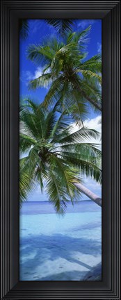 Framed Maldives Palm Trees Print